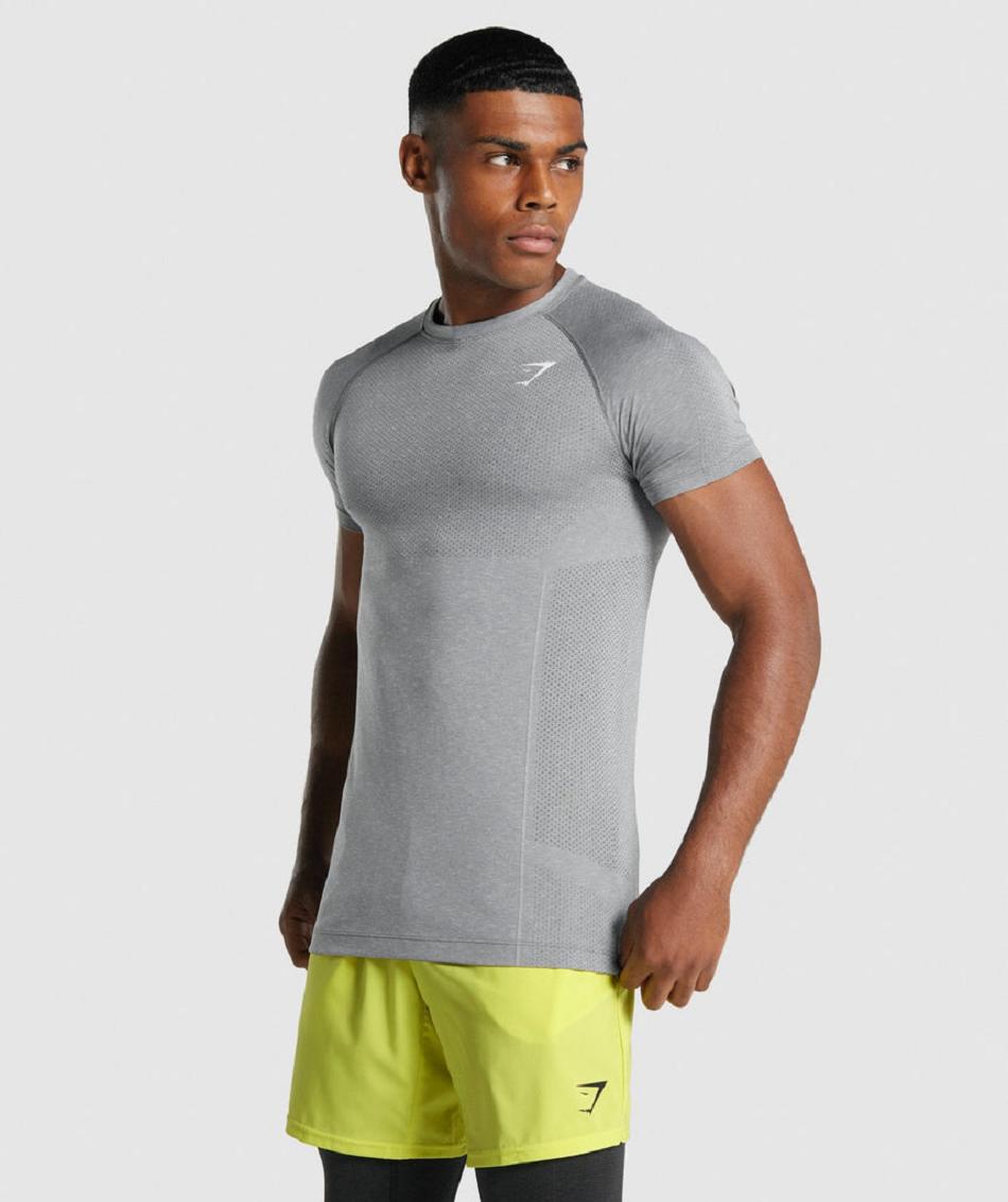 T Shirts Męskie Gymshark Vital Light Seamless Szare | PL 3892DFM